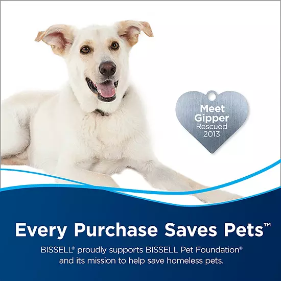 BISSELL 2X Professional Deep-Cleaning Formula (60 Ounces) 5 BISSELL 2X Professional Deep-Cleaning Formula (60 Ounces) - Image 3