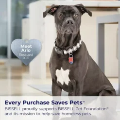 BISSELL CleanView XR Stick Vacuum (3789) -Storage And Cleaning 44417229 CC ALT7