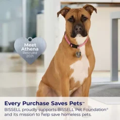 BISSELL TurboClean Pet XL (3738) -Storage And Cleaning 45919924 CC ALT8