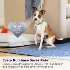 BISSELL Little Green Max Pet Carpet Cleaner (3857) -Storage And Cleaning 48208750 CC ALT6