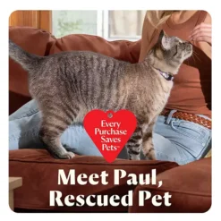 BISSELL Little Green Mini Portable Carpet Cleaner -Storage And Cleaning 52371938 CC ALT7