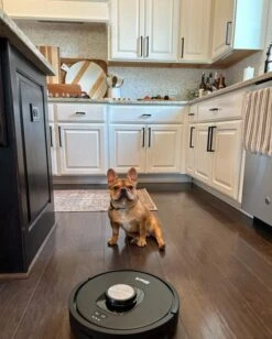 Shark® Matrix Self-Empty Robot Vacuum With Bagless, 45-Day Capacity Base, Self-Cleaning Brushroll For Pet Hair, No Spots Missed On Carpets And Hard Floors, Precision Home Mapping, WiFi Black/Silver (RV2310AE) -Storage And Cleaning 620 9