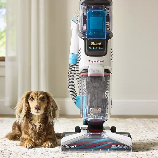Shark® CarpetXpert With Stainstriker, EX201, Pet Carpet And Upholstery Cleaner Machine With Built-in Spot & Stain Cleaner, Deep Carpet Cleaning & Tough Stain Removal, Upright Shampooer For Area Rugs, Eliminates Odors Instantly Including Pet Urine (EX201) 11 Shark® CarpetXpert With Stainstriker, EX201, Pet Carpet And Upholstery Cleaner Machine With Built-in Spot & Stain Cleaner, Deep Carpet Cleaning & Tough Stain Removal, Upright Shampooer For Area Rugs, Eliminates Odors Instantly Including Pet Urine (EX201) - Image 9