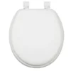 Round Padded Toilet Seat -Storage And Cleaning 6777195 White